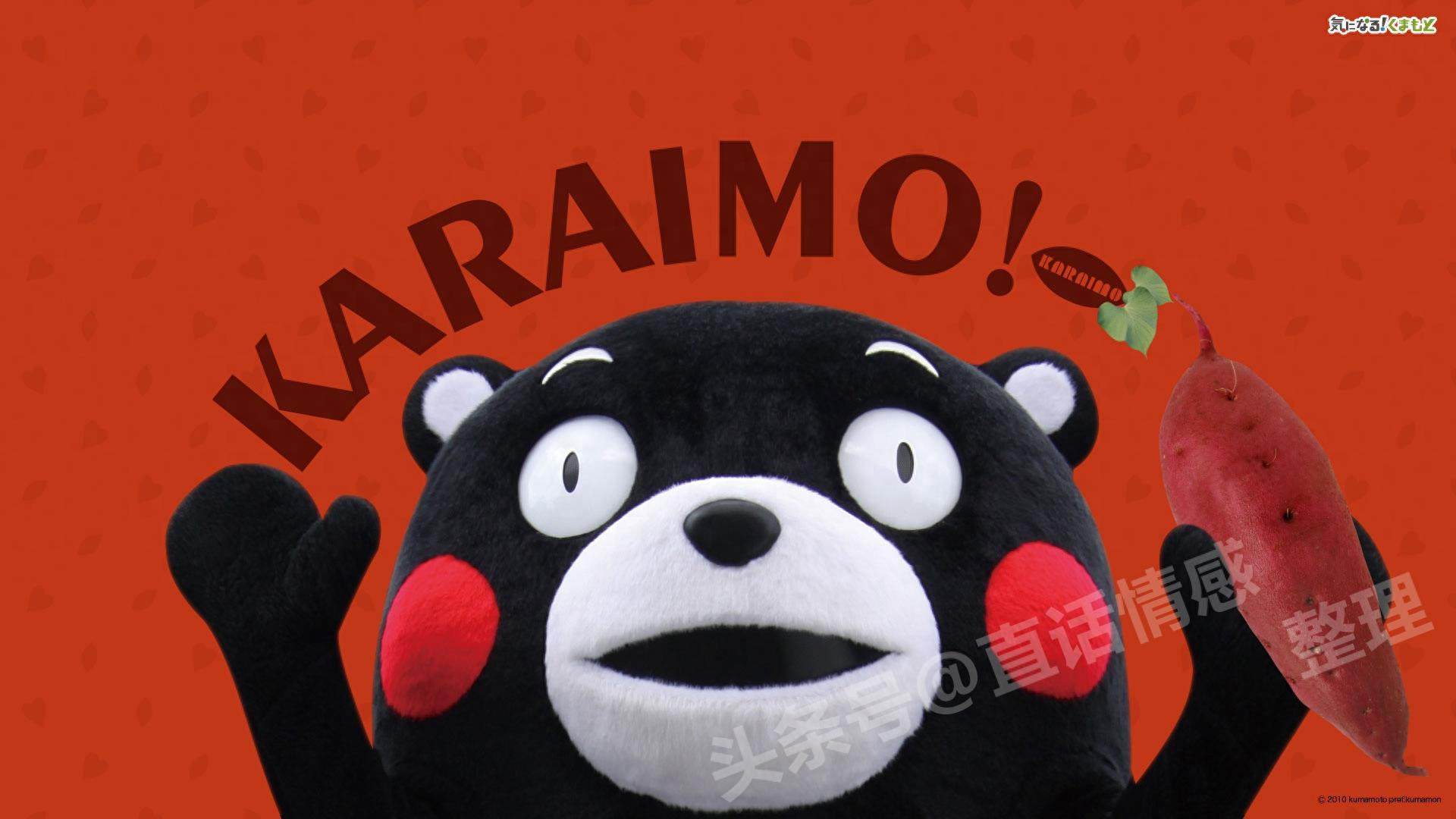 熊本熊壁纸:蠢萌熊本熊图集 个性吸引眼球 16:9高清大图