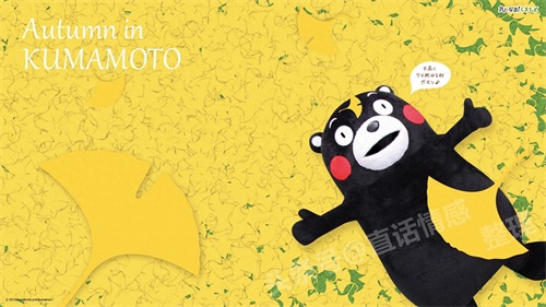 熊本熊壁纸:蠢萌熊本熊图集 个性吸引眼球 16:9高清大图