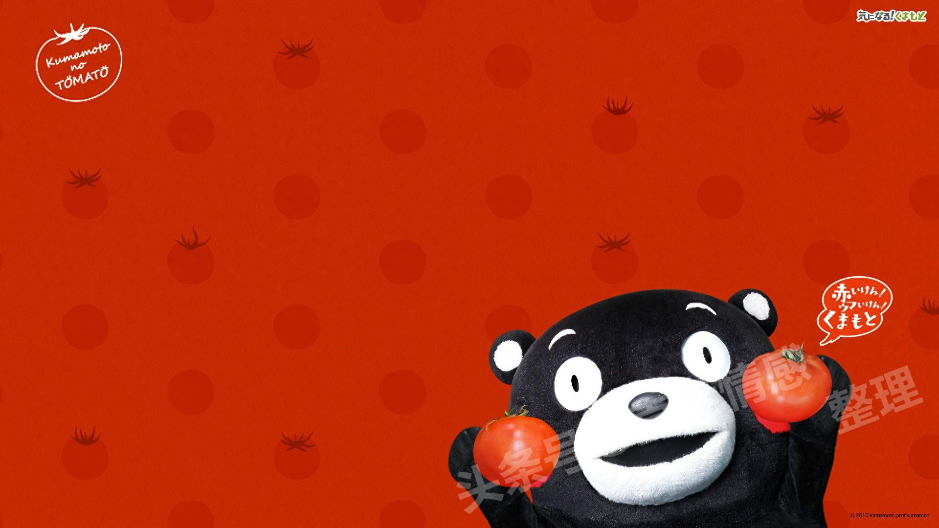 熊本熊壁纸:蠢萌熊本熊图集 个性吸引眼球 16:9高清大图