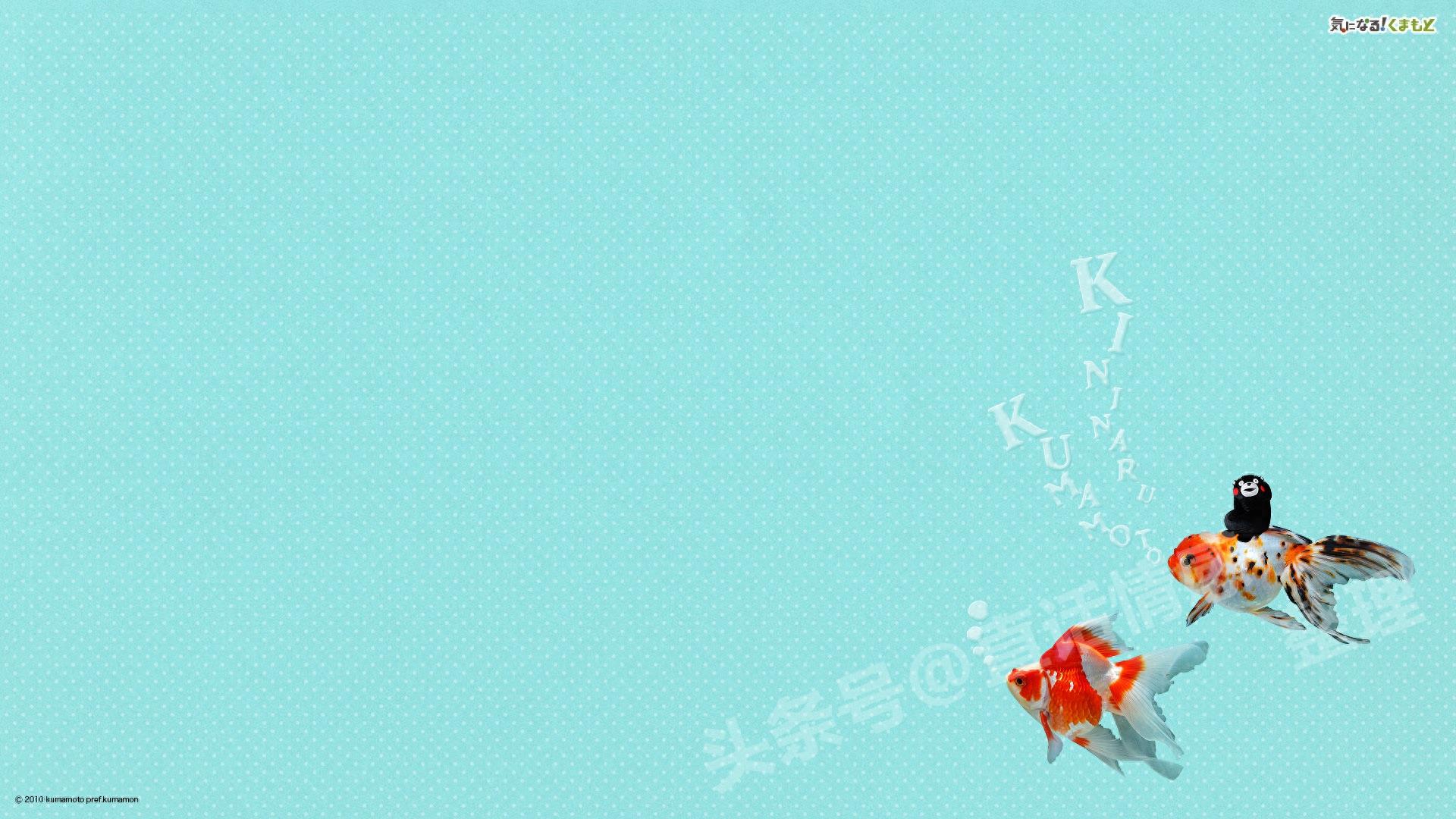 熊本熊壁纸:蠢萌熊本熊图集 个性吸引眼球 16:9高清大图