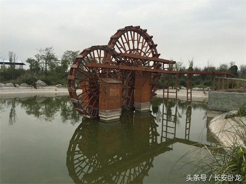 免费休闲好去处——渭南蒲城卤阳湖国家湿地公园