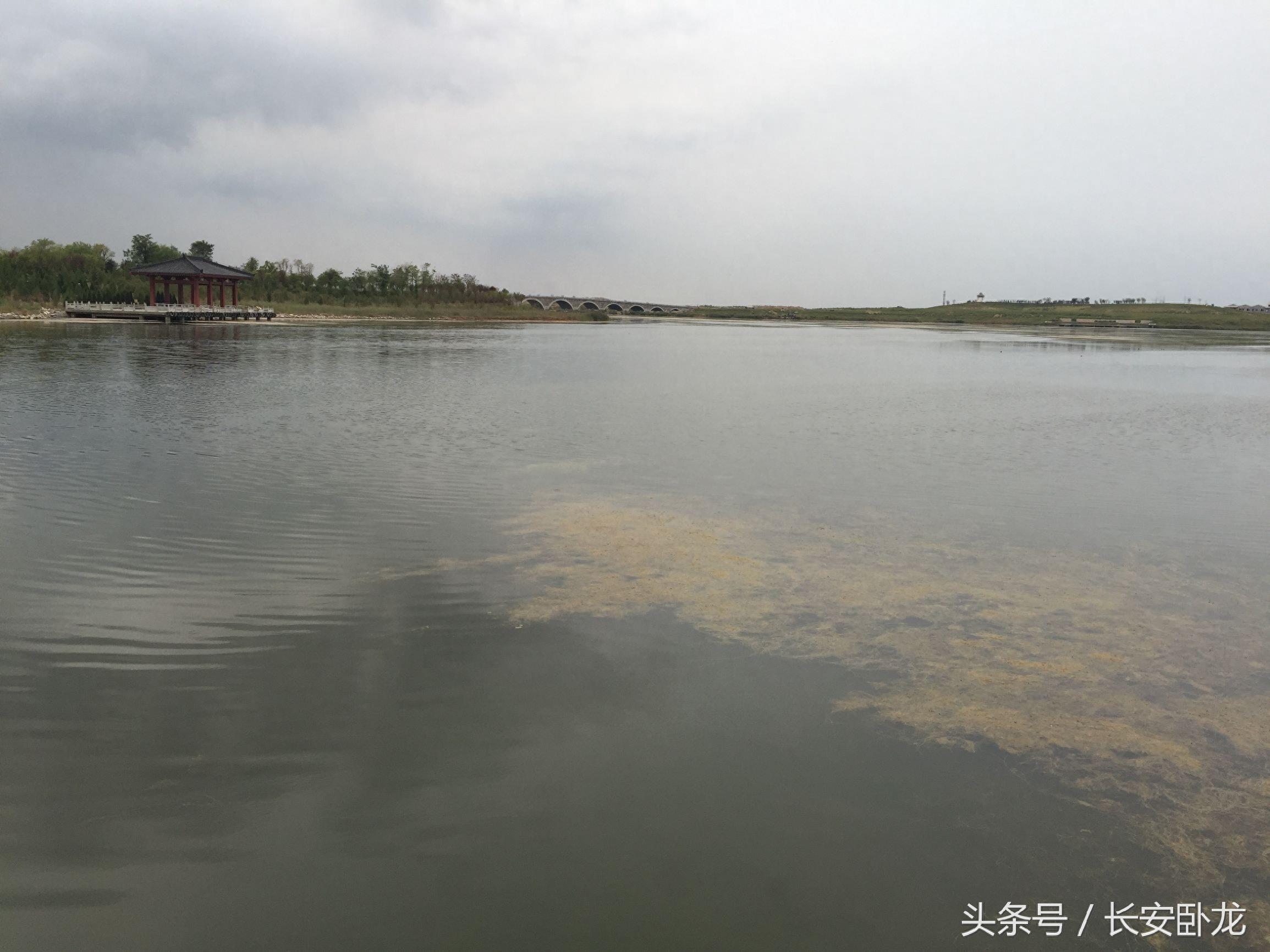 免费休闲好去处——渭南蒲城卤阳湖国家湿地公园