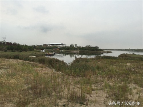 免费休闲好去处——渭南蒲城卤阳湖国家湿地公园