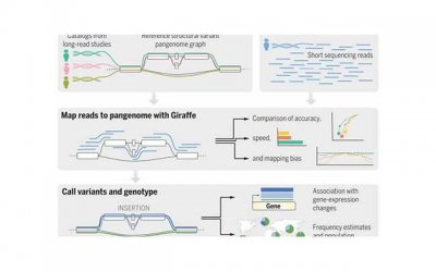 ​好硬你摸摸下面涨的很疼为什么 好硬你摸摸下面涨的很疼怎么回事