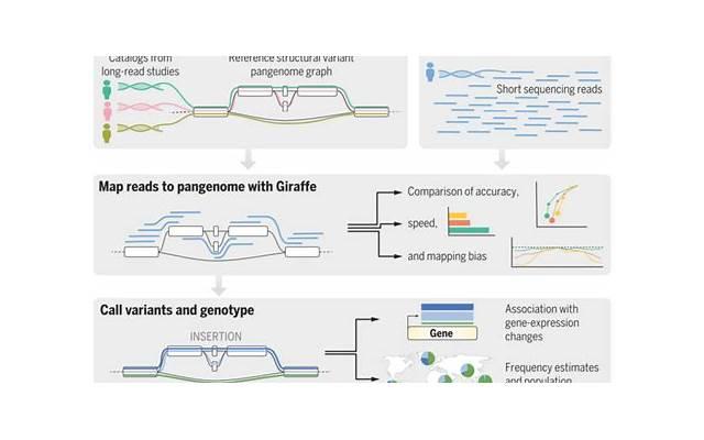 好硬你摸摸下面涨的很疼为什么 好硬你摸摸下面涨的很疼怎么回事