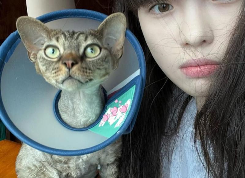 阴差阳错的婚姻，阴差阳错的婚姻应该怎么办