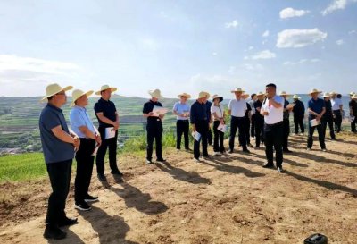 ​“三抓三促”行动进行时礼县盐官镇：发挥“党建+”聚合力，奏响乡村幸福曲