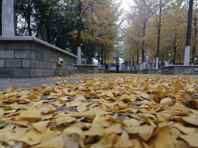 ​山西警察学院多少分可以报考公安类专业