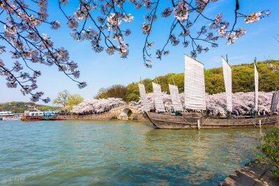 ​忍一时越想越气，退一步越想越亏