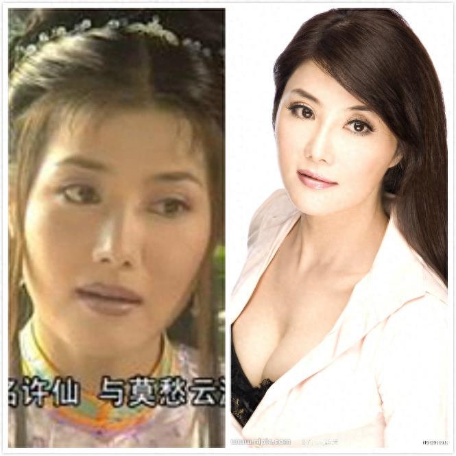 盘点古装幽默喜剧《铁齿铜牙纪晓岚》主要演员现状