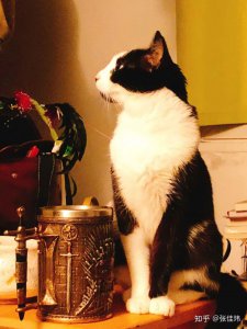 ​卑微的喜欢，隐约的暗示与世上无数遗憾的擦身而过