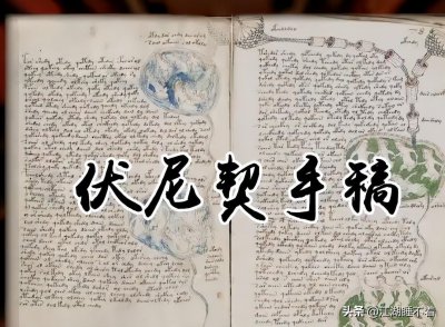 ​世界奇书之《伏尼契手稿》