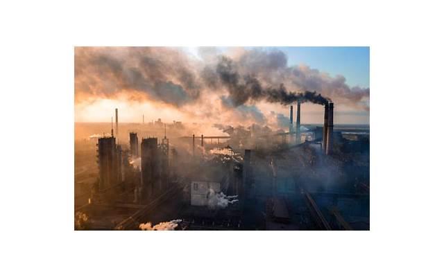 和精神病人怎么离婚