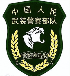 ​中国4大特种部队，光听名字就令人胆寒，战力直逼美俄部队