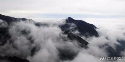 ​云南著名的“十大野生菌”你了解多少