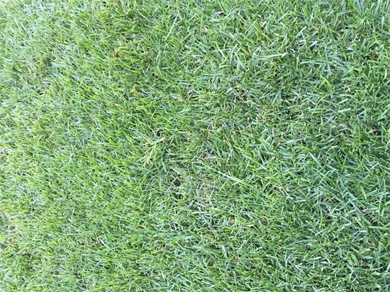 走进天津团泊足球场内场，感受专业球场氛围