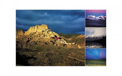 ​对方家暴可以报警离婚吗？