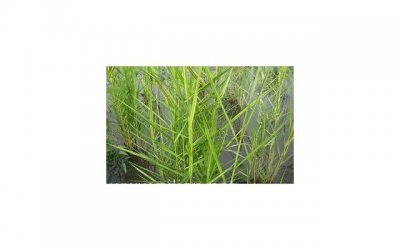 ​婚姻第三者插足，这才是正确的应对方法