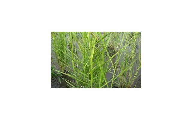 婚姻第三者插足,这才是正确的应对方法 婚姻第三者插足,这才是正确的应对方法