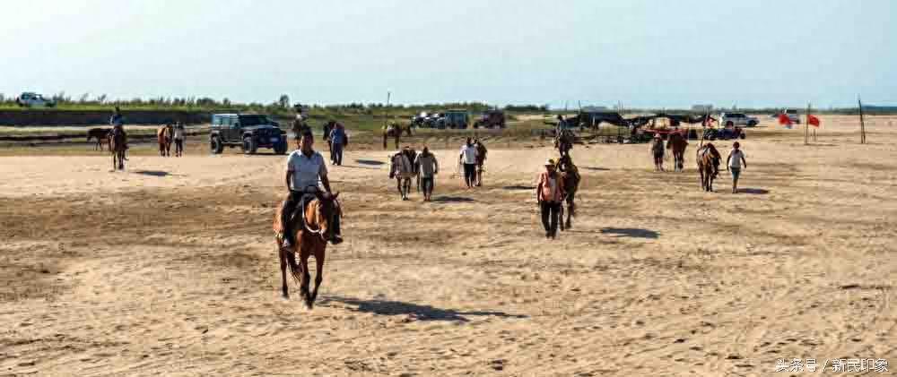 3个多小时即可从上海到郑州，乘高铁去黄河浅滩骑马奔腾