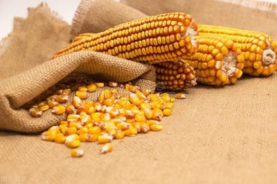 ​访问美国后，赫鲁晓夫大力推广玉米，为何却加重了苏联粮食危机