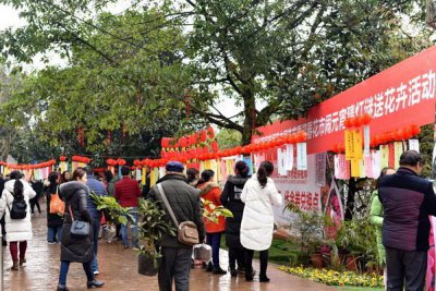 ​宜宾迎春花市猜灯谜闹元宵送鲜花