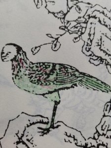 ​黄帝的护卫火鸟—毕方鸟