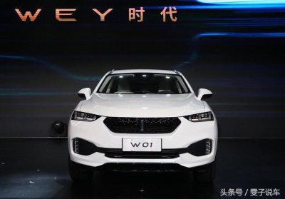 ​自主豪华品牌，长城魏派！