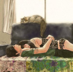 ​十句情话：所爱隔山海，山可攀，海可渡~