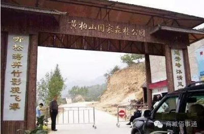 ​商城旅游-黄柏山国家森林公园