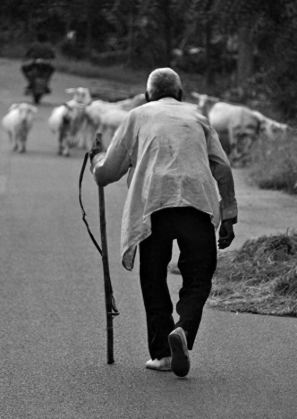 一组父亲的背影图,总有一张能让你落泪,向天下所有的父亲致敬!