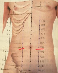 ​每日一穴……天枢穴