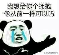戴绿帽子搞笑带字表情包 熊猫头聊天搞笑表情包