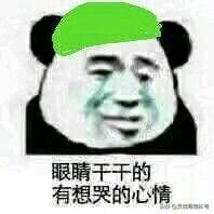 戴绿帽子搞笑带字表情包 熊猫头聊天搞笑表情包
