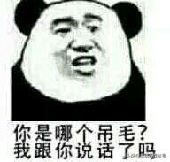 戴绿帽子搞笑带字表情包 熊猫头聊天搞笑表情包