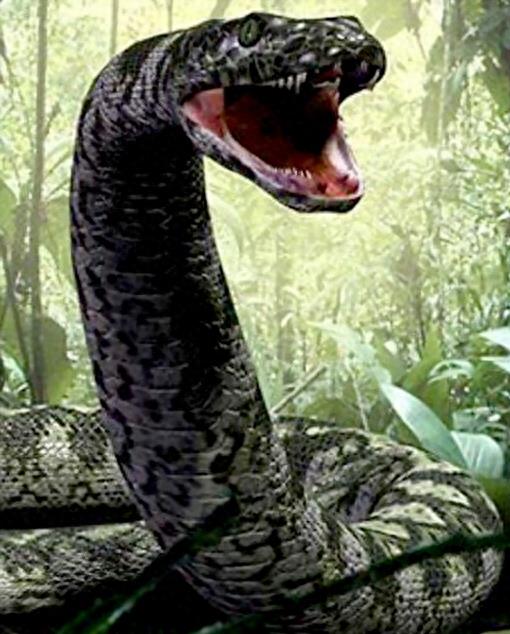 探索史前泰坦巨蟒：身长可达15米重1吨