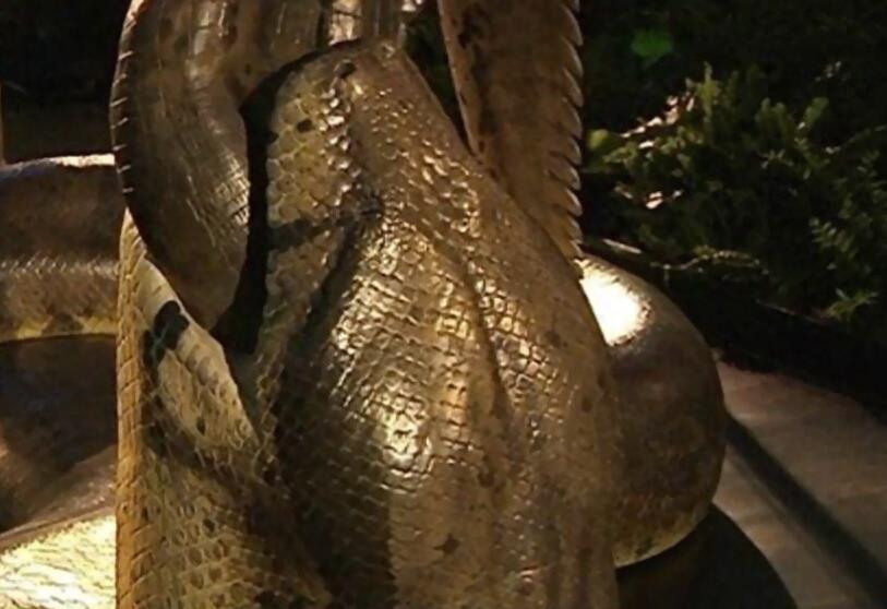 探索史前泰坦巨蟒：身长可达15米重1吨
