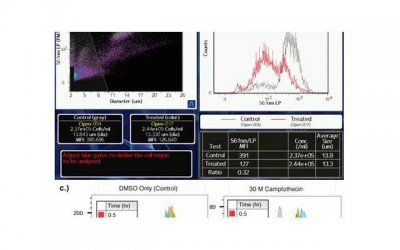 ​不确定他是否喜欢自己？男生让人无法拒绝的8句表白