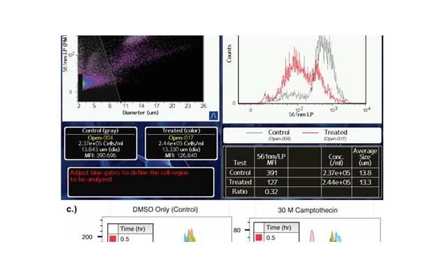 不确定他是否喜欢自己?男生让人无法拒绝的8句表白 不确定他是否喜欢自己?男生让人无法拒绝的8句表白