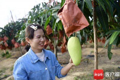 ​从门外汉到“网红” 陵水“新农人”阿碧2年涨粉80万的背后故事