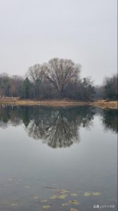 ​七律 男人四十皆英豪