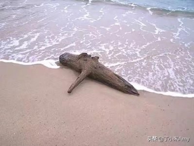 ​《无问西东》刘淑芬的悲哀：因为不甘，而死守无爱无性婚姻的女人