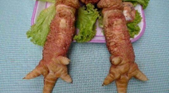 这是鸡中的“战斗鸡”,一万多一只,腿比胳膊粗,腿越粗越贵!