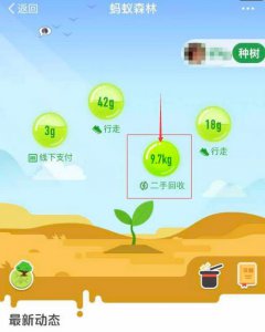 ​蚂蚁森林获取9763g能量方法 不少网友叹服：这也行？