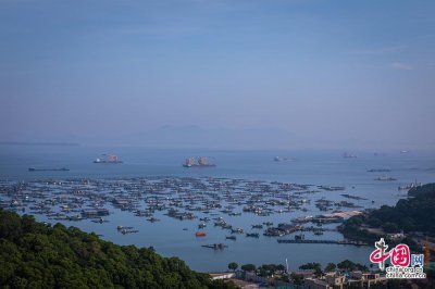 ​走进“广东鱼仓”：渔民的避风港-闸坡国家中心渔港