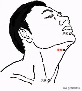 ​津液之道-廉泉穴