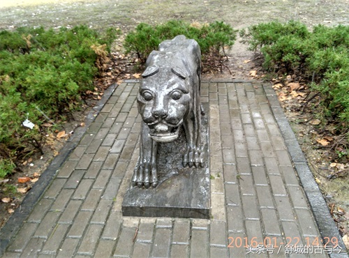 合肥影像：张辽墓