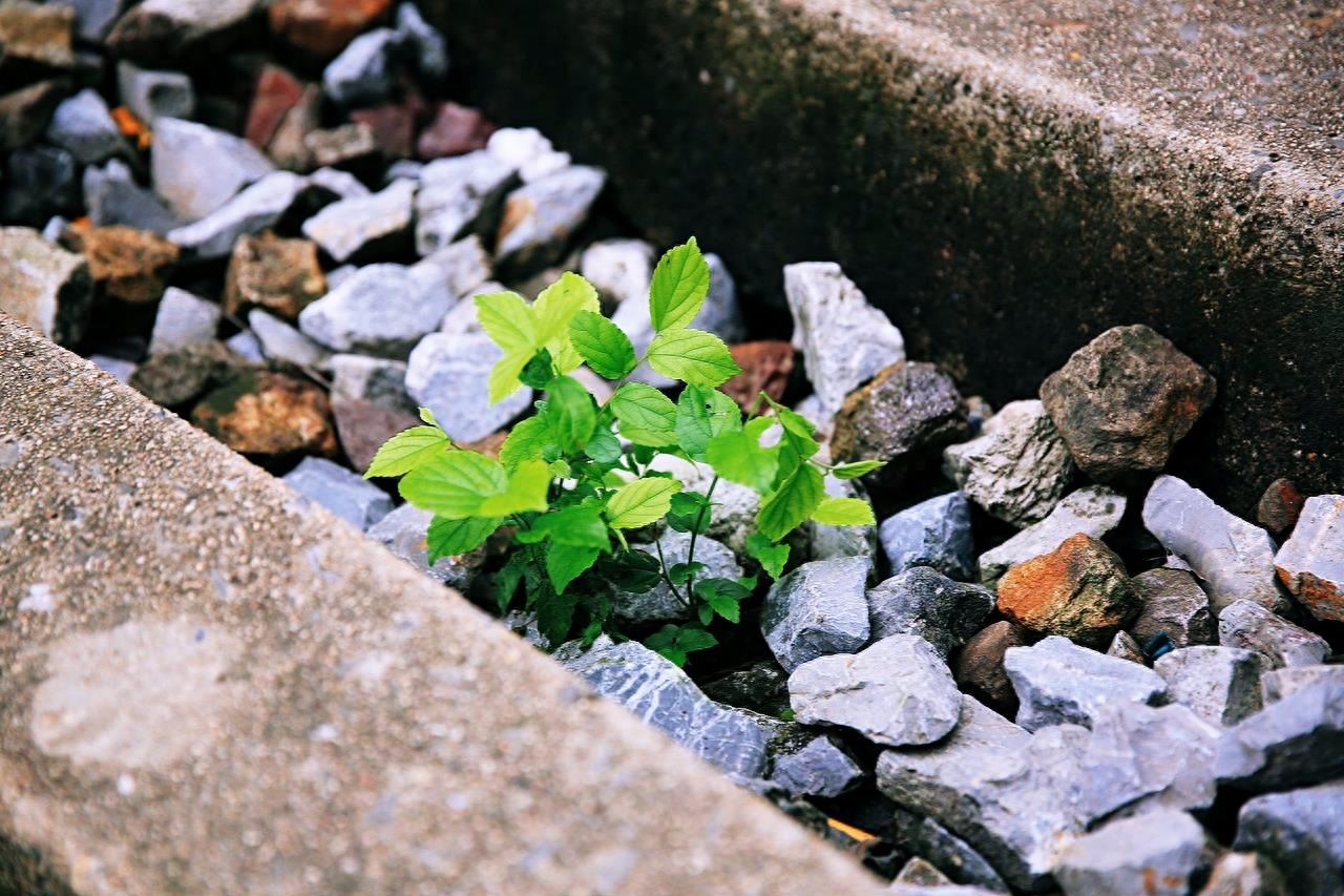江宁爱情隧道，南京最浪漫的地方