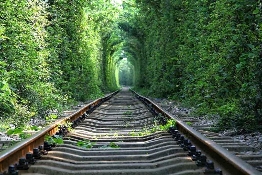 江宁爱情隧道，南京最浪漫的地方