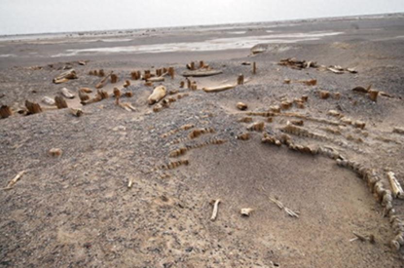 曾是生命禁区的罗布泊，如今发现了一座新的古城